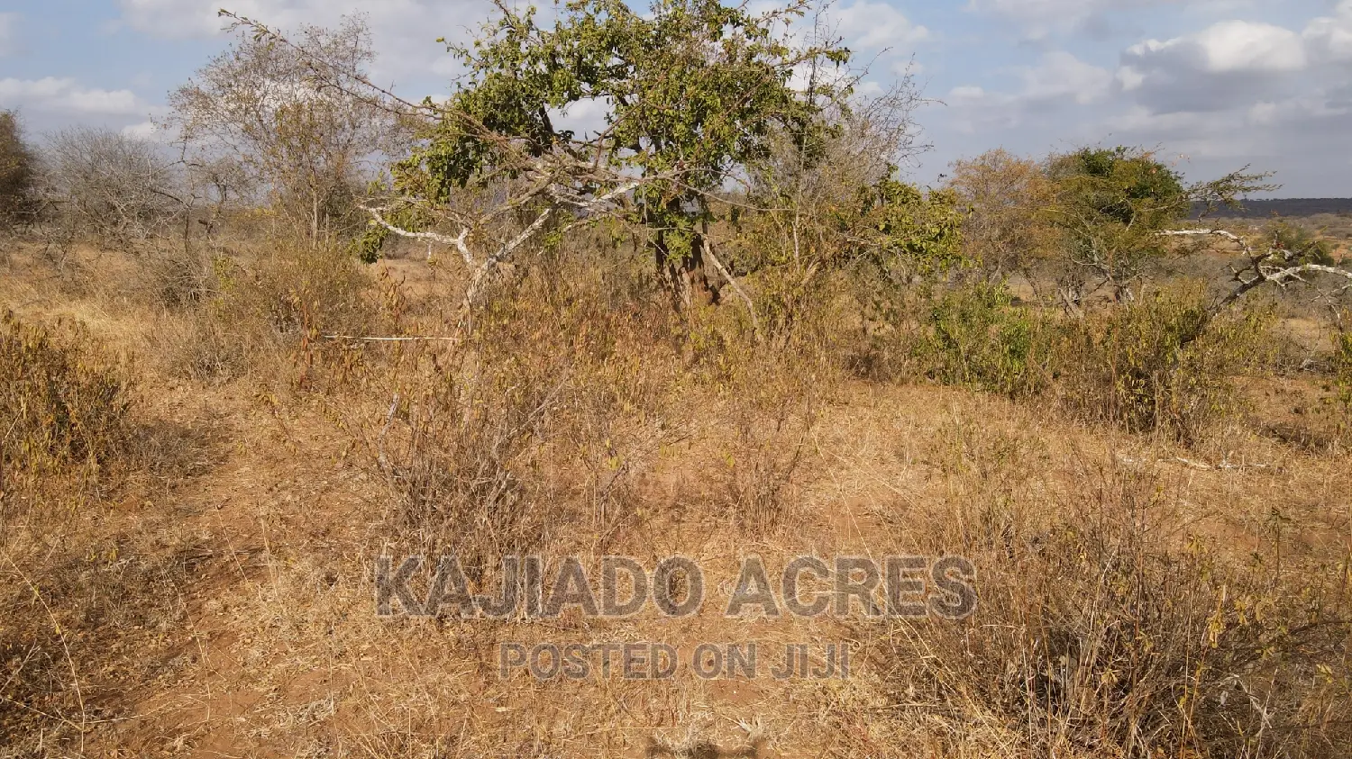 Prime 48 Acres Konza at 2.5m Per Acre