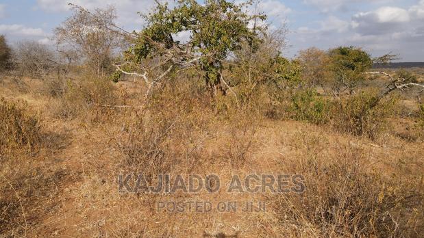 Prime 48 Acres Konza at 2.5m Per Acre - main view