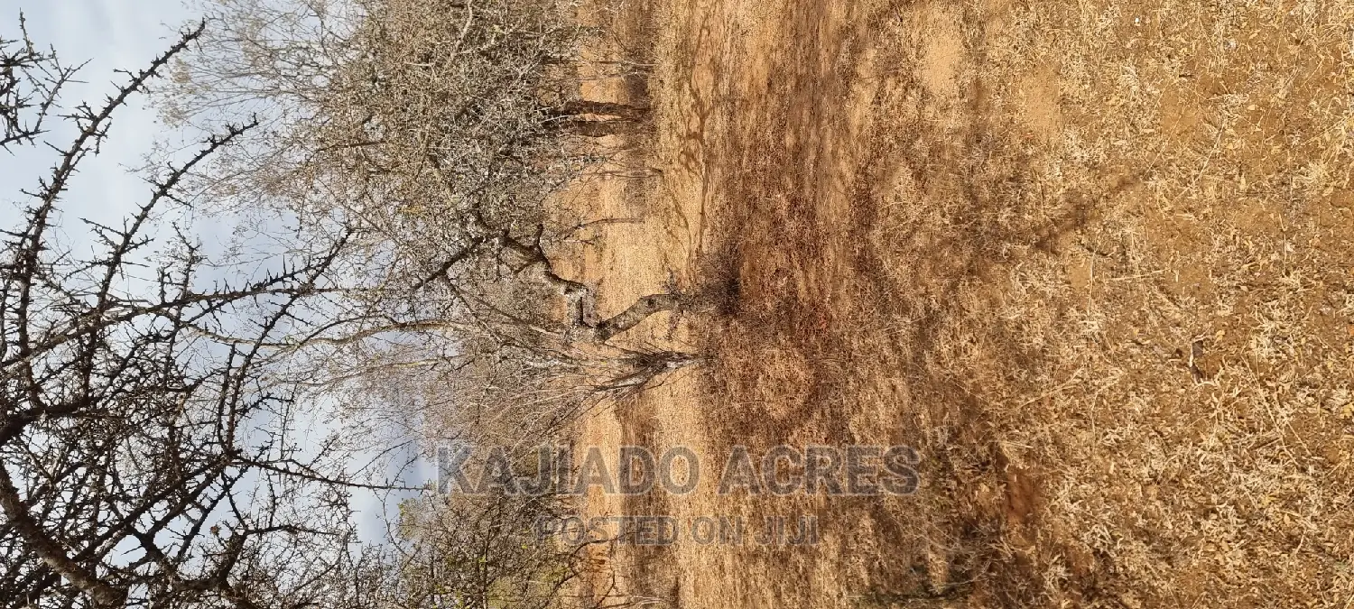 Prime 48 Acres Konza at 2.5m Per Acre