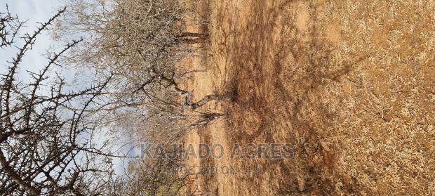 Prime 48 Acres Konza at 2.5m Per Acre - thumbnail 6