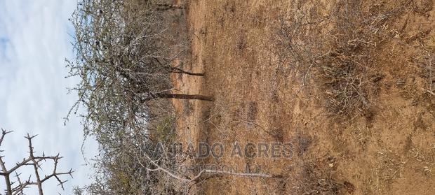 Prime 48 Acres Konza at 2.5m Per Acre - thumbnail 9