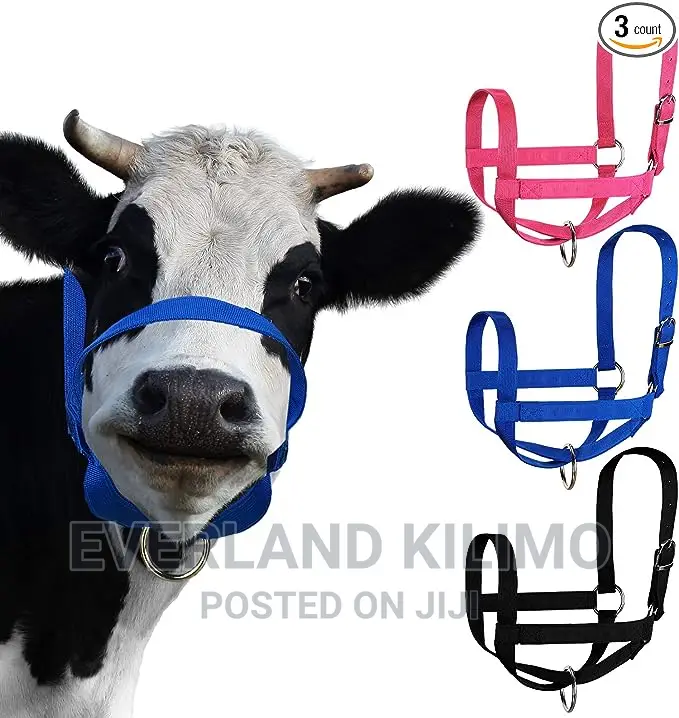 Heavy Duty Cow Halters