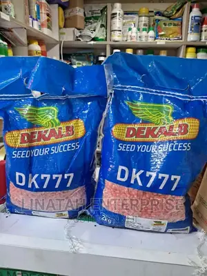 Dekalb 777 Maize (Dk 777)