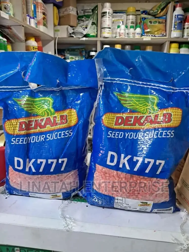 Dekalb 777 Maize (Dk 777)
