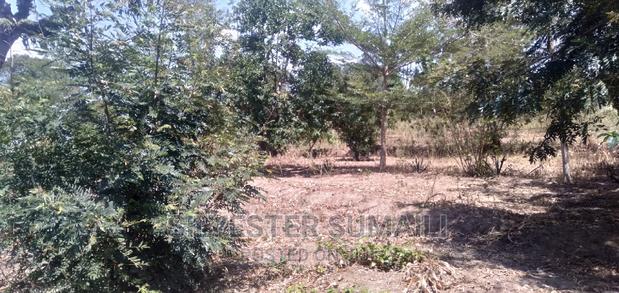 A Plot for Sale - thumbnail 6