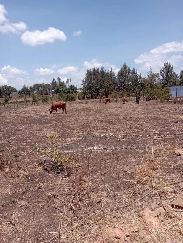1/4 Plot for Sale in Gitoine, Kagio, Kirinyaga County - thumbnail 2