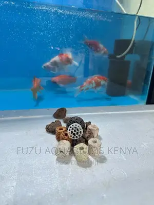 Aquarium Filtration Media