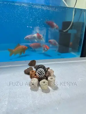 Aquarium Ceramics