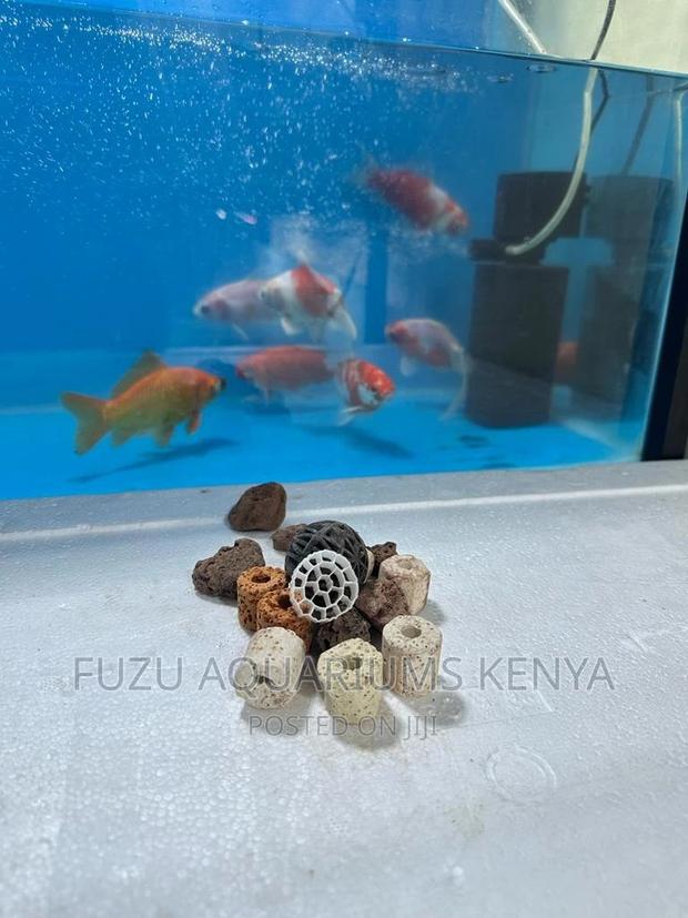 Aquarium Ceramics