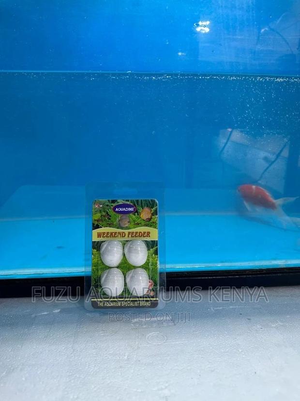 Weekend Feeder for Aquarium Fish