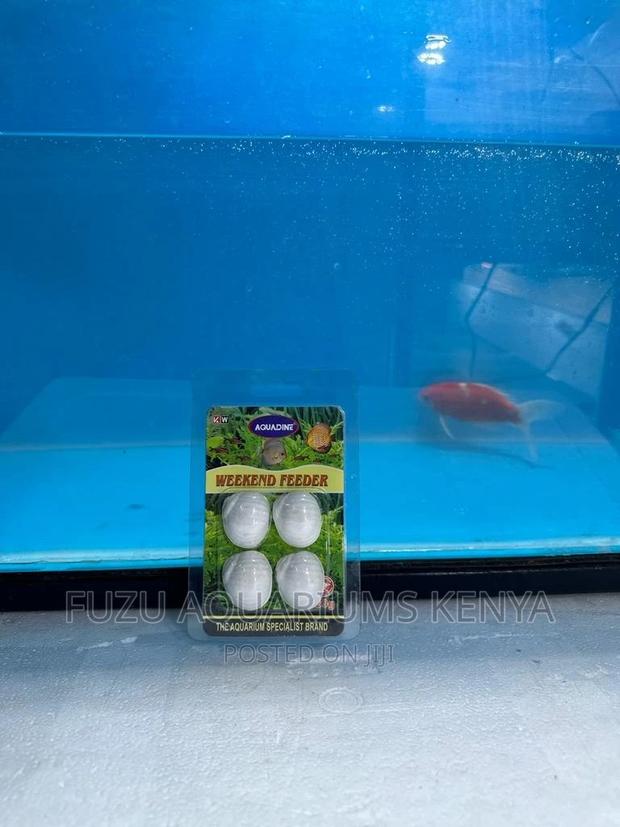 Fish Weekend Feeder