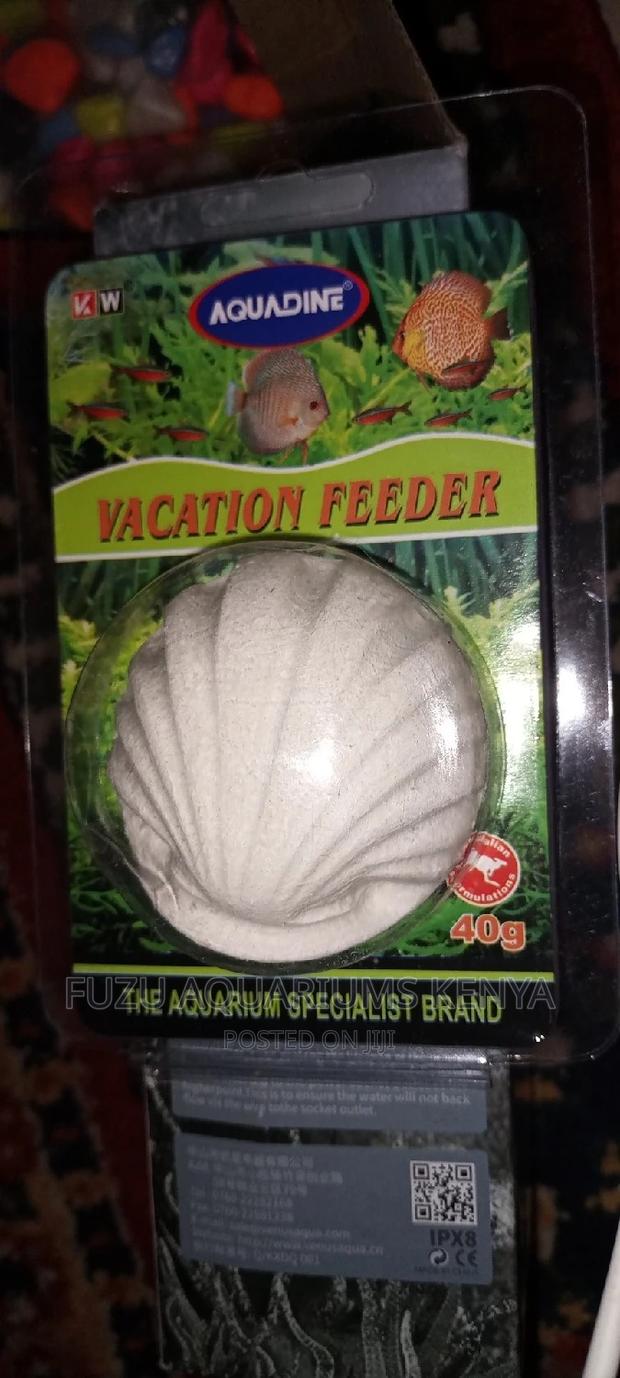 Vacation Feeder Tablets