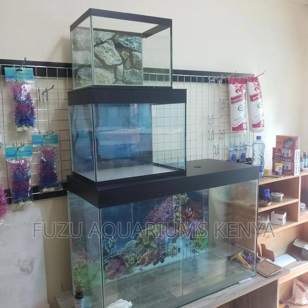 Empty Aquarium All Sizes - main view