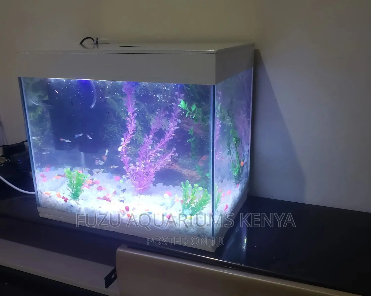 Small White Aquarium for Kids