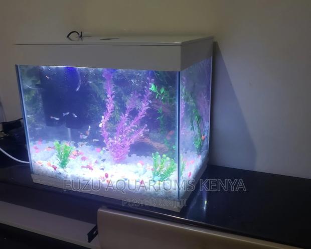 Small White Aquarium for Kids - main view