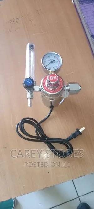 Heated Reducer - CO2 Regulator Heater