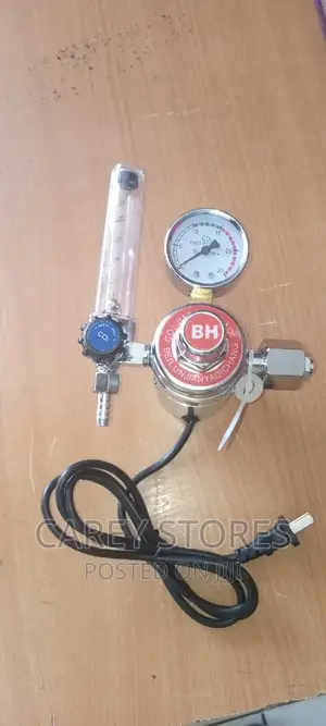 Heated Reducer - CO2 Regulator Heater