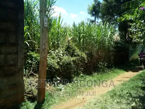 Plots for Sale in Mbuni Kitengela