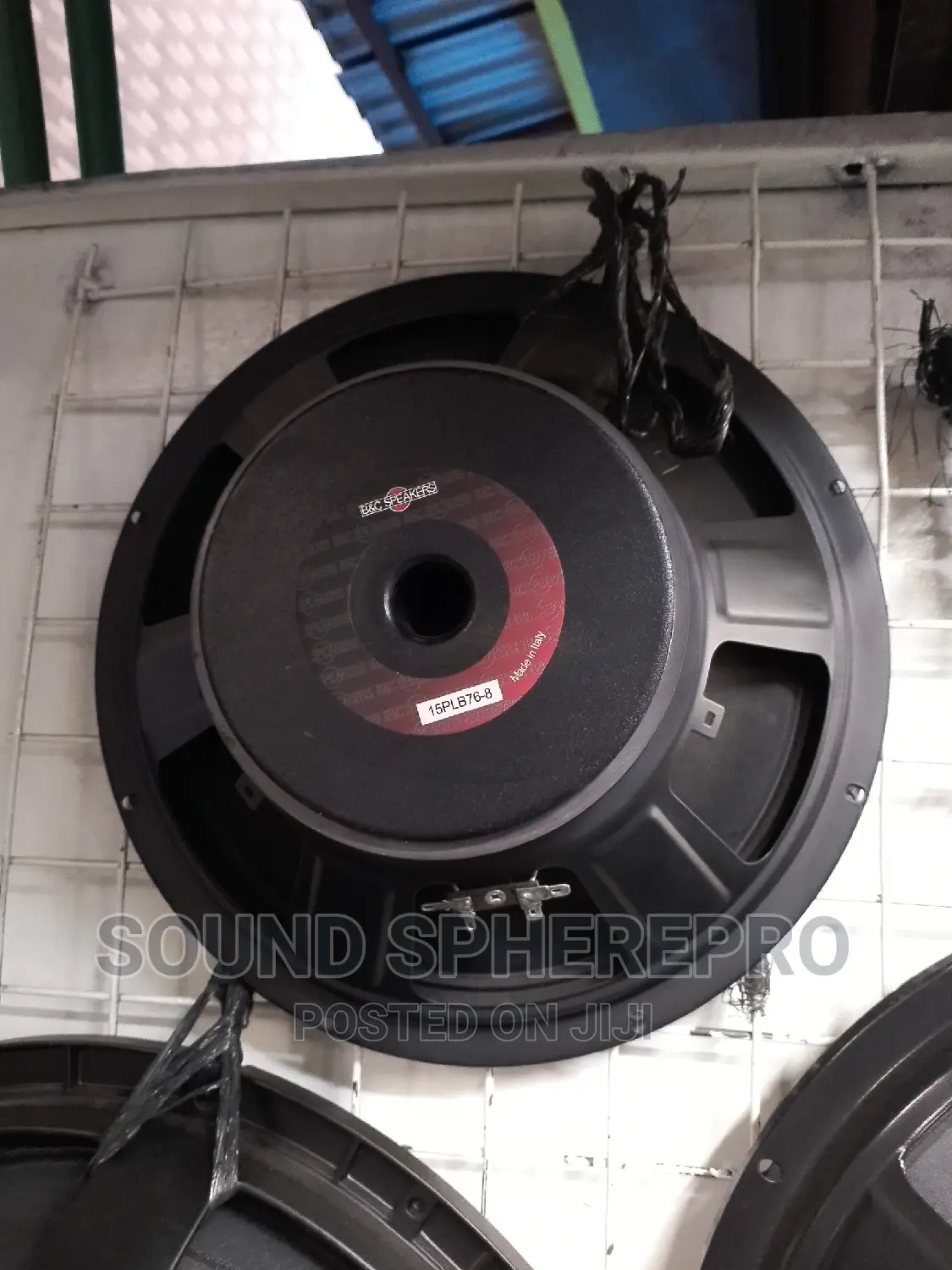 B$C 15PLB76 12inch Naked Speaker