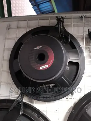 B$C 15PLB76 12inch Naked Speaker