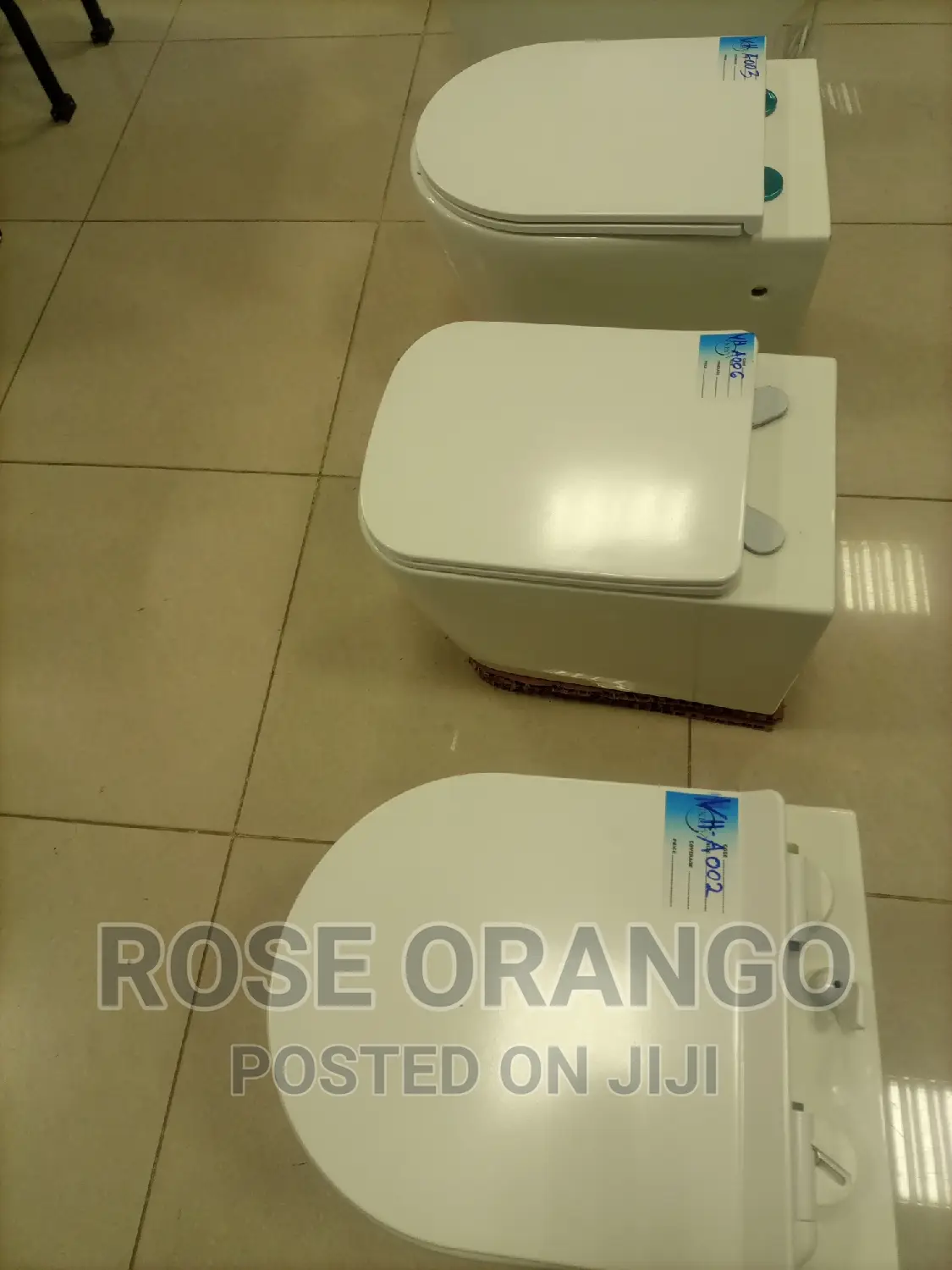 Electric Toilet