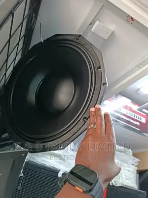 15 Inch NR Bass Speaker Pd1550