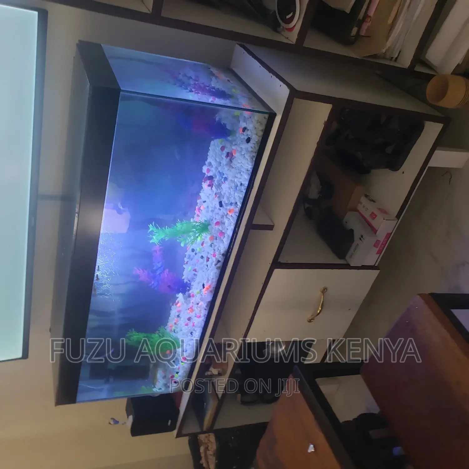 3 Feet Long Aquarium