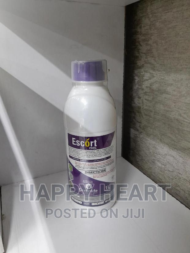 Escort 19ec Insecticide 1litre - main view