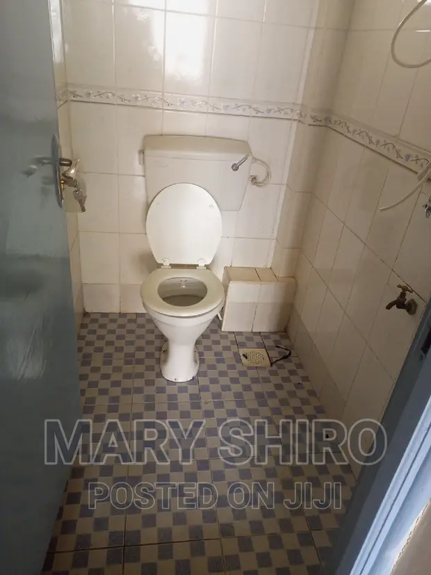 1bdrm Apartment in South B for rent