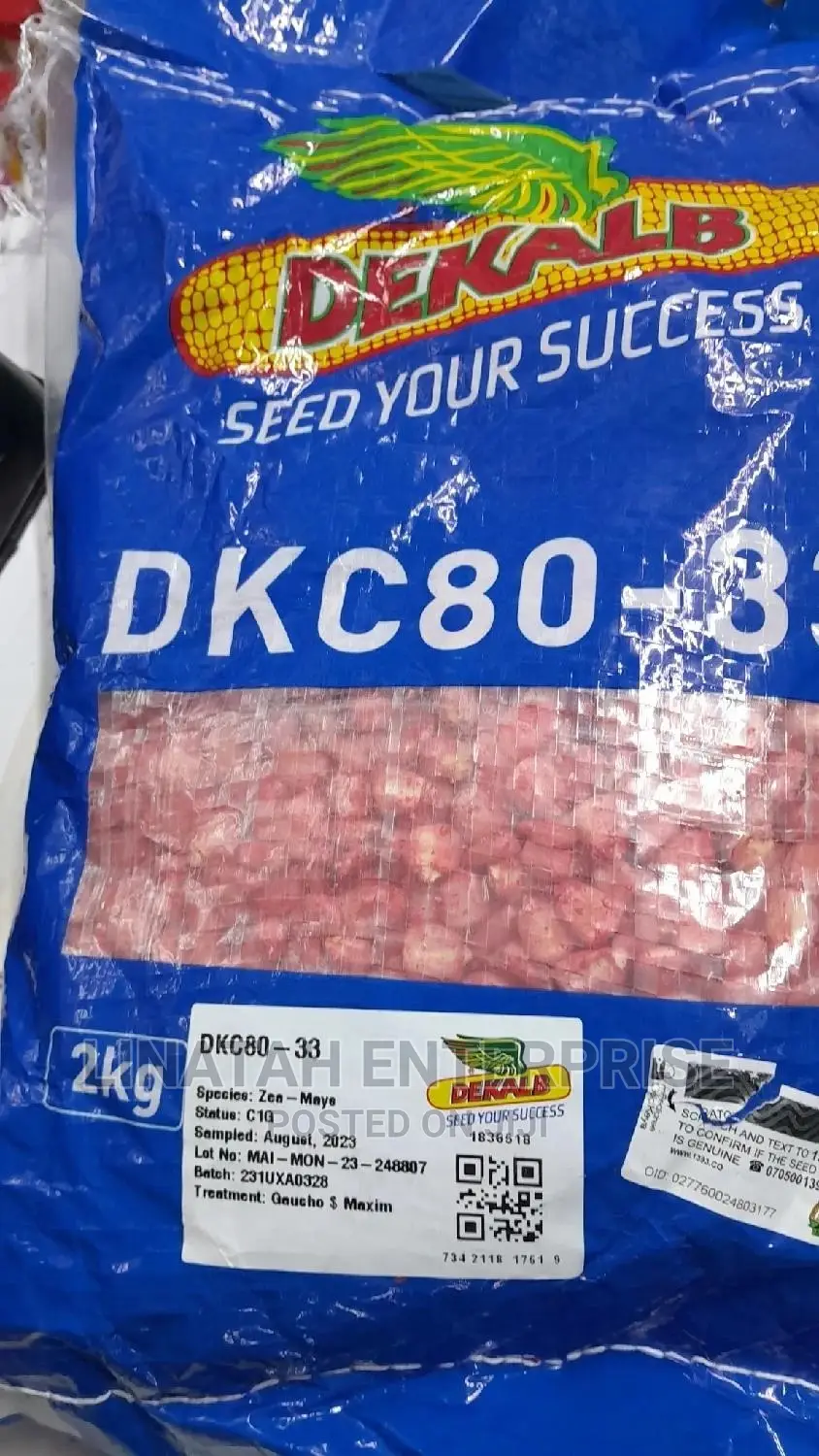 DEKALB 80-33 Maize Seeds (Dk 80-33)2kg