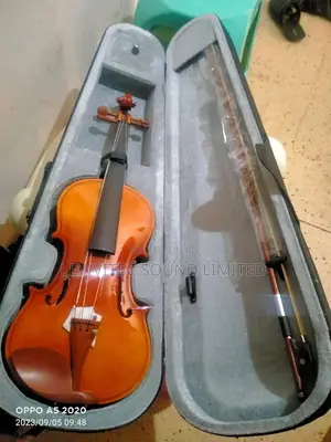 Pure Wood Violin