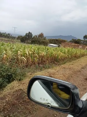 Land on Sale at Viewpoint Naivasha