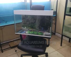 2ft Aquarium White - thumbnail 2