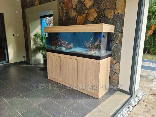 Out of the Ordinary Aquarium
