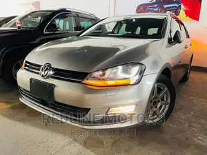 Volkswagen Golf Variant 2017 Silver
