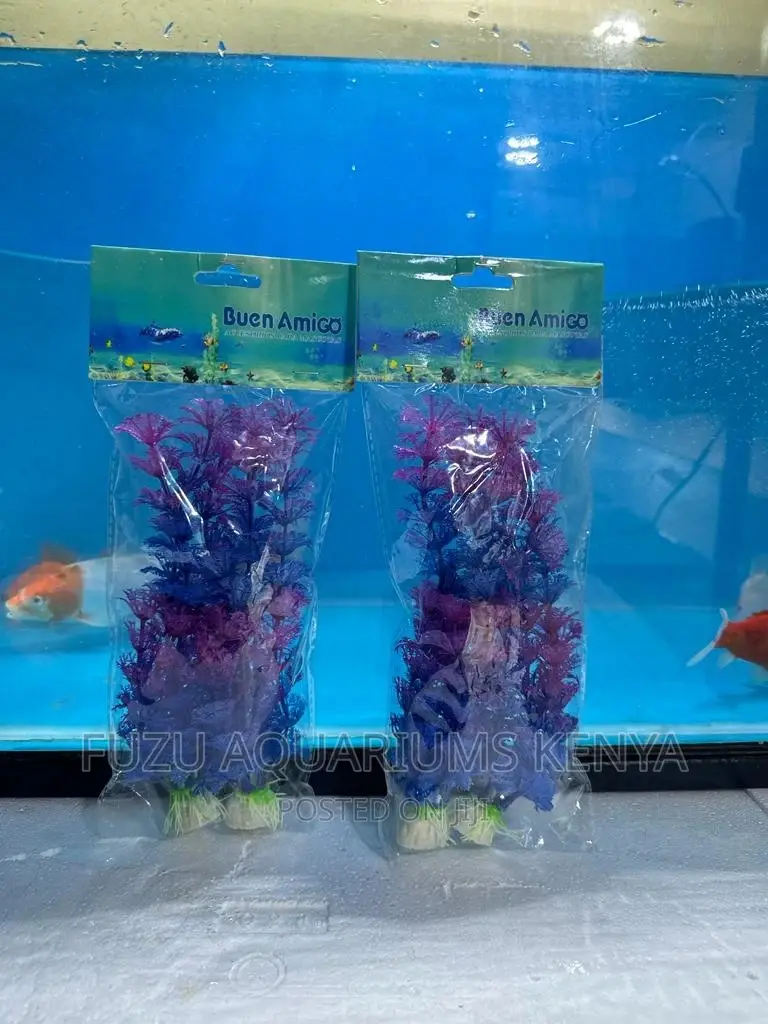Aquarium Plants Purple