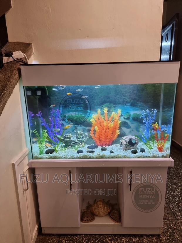 Super Aquarium With Fish and Deco