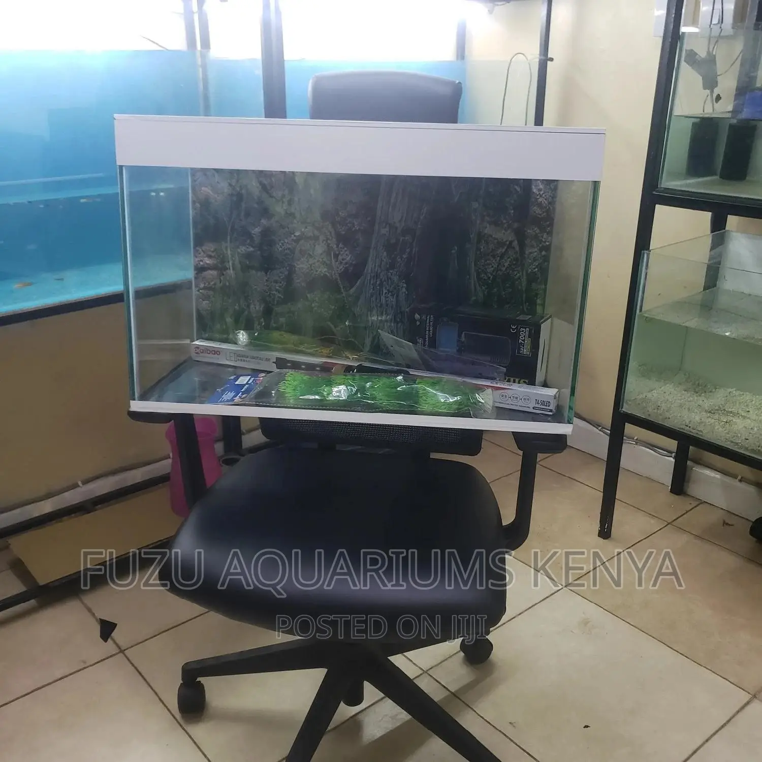 2feet Length Aquarium (50L)