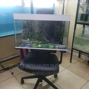 2feet Length Aquarium (50L)