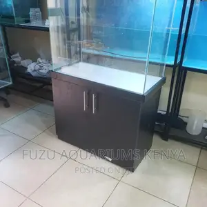 Empty Aquarium With Its Cabinet