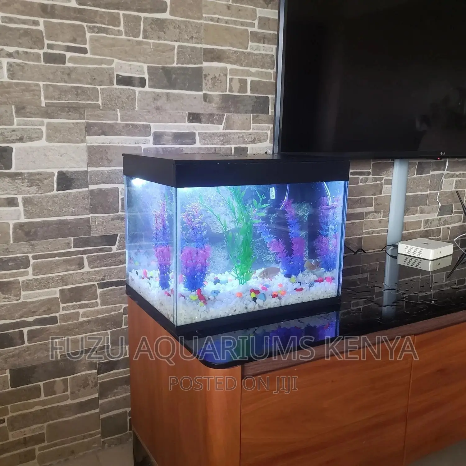 25liters Aquarium Small