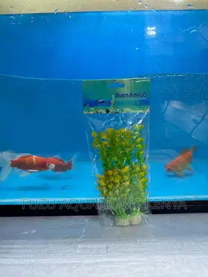 Aquatic Aquarium Plants