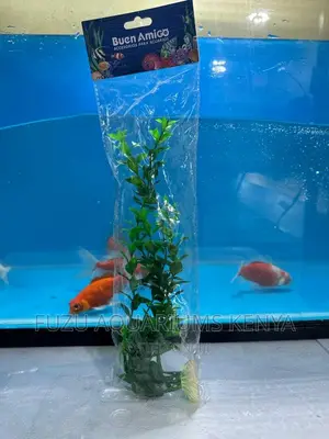 Strong Aquarium Plant