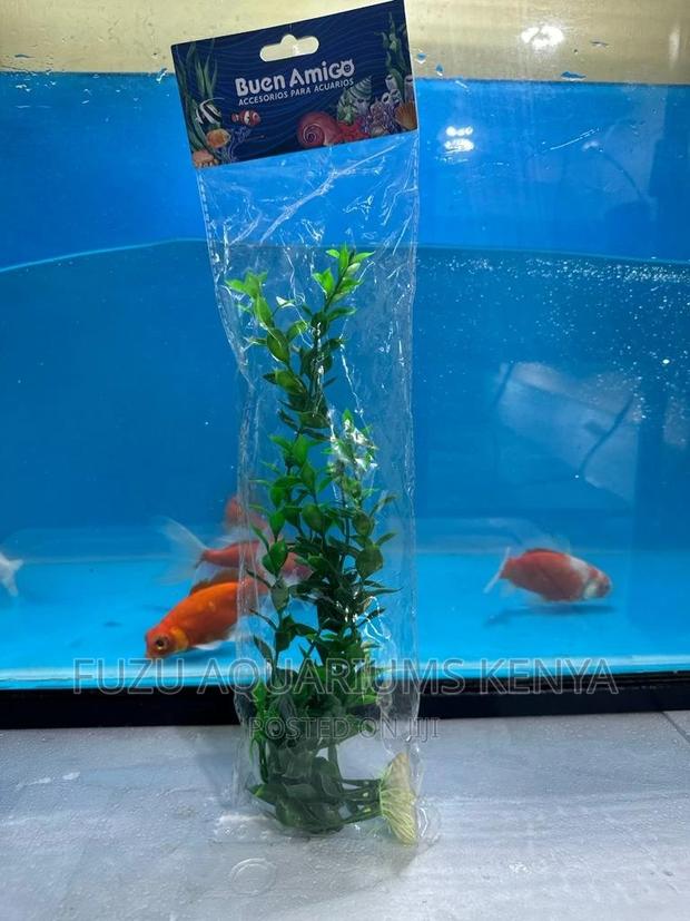 Strong Aquarium Plant - main view
