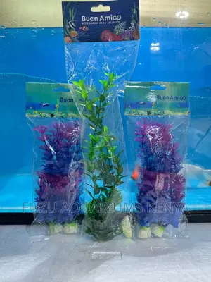 Quality Aquarium Plants, All Colors Available