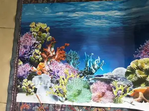 Coral Aquarium Background