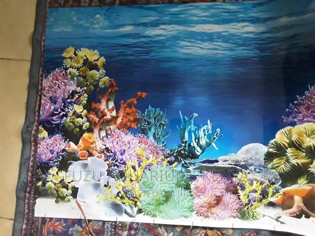 Coral Aquarium Background