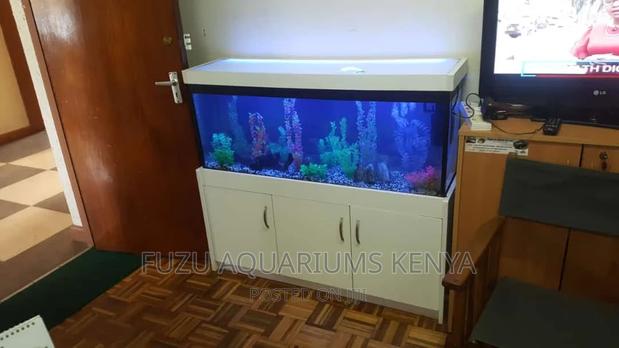 White Office Aquarium - main view