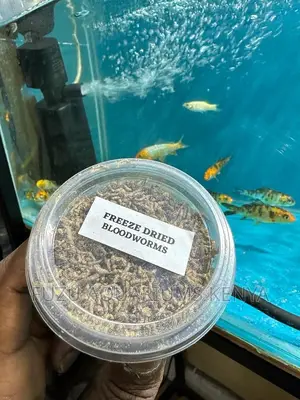 Fish Food Bloodworms