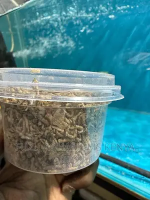 Fish Food Bloodworms